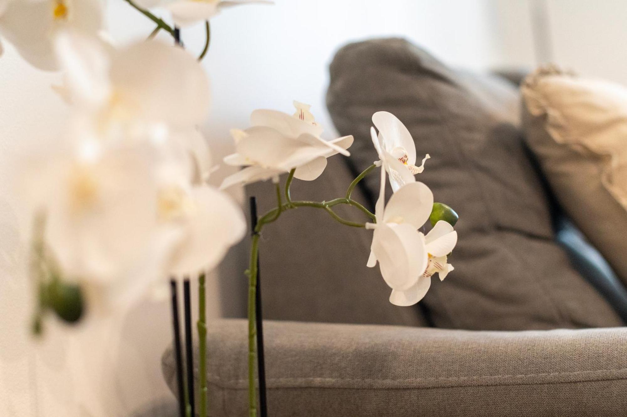 Apartment K&L,Ζαντάρ Εξωτερικό φωτογραφία